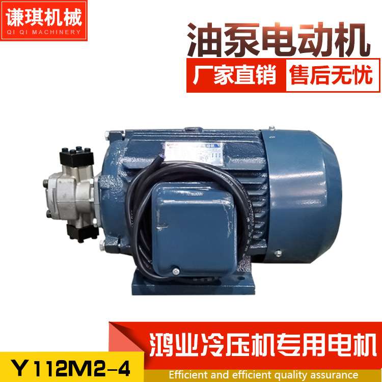 厂家直销油泵电机冷压机专用电动机三相异步电机液压泵 5.5kw380V图片