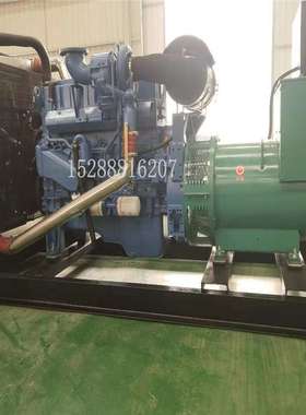 潍坊柴油发电机组 玉柴上海系列1000kw 集装箱式 无刷静音发电机