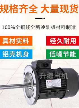 ?电机380V烤炉耐高温纯铜电机冷却长轴风箱马达MS7124/MS802