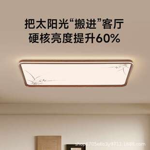 宋式美学吸顶灯客厅大厅主灯新中式胡桃色书房次卧灯护眼中山灯具