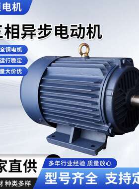 三相异步电动机YE3系列Y2纯铜2.2kw-6 YE2-112M-6380v卧式电动机