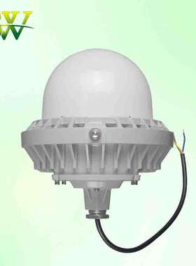 防爆灯50W泛光灯固定尚为SZSW7130投光灯石油化工应急LED工业防爆