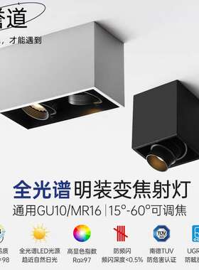 誉道明装双头防眩式客厅天花灯cob牛眼灯走廊led可调角度射灯 升