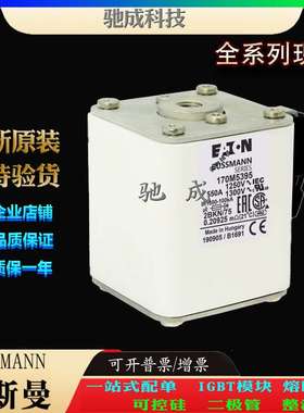 巴斯曼170M5395 170M5396 170M5397 现货直销厂价销售 快速保险丝