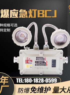 LED防爆应急灯BCJ 楼道车间仓库应急双头灯 疏散照明出口指示灯