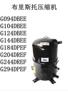 H2BG094DBEE H2NG124 H2NG144 H2NG244 H2NG294DBE布里斯托压缩机