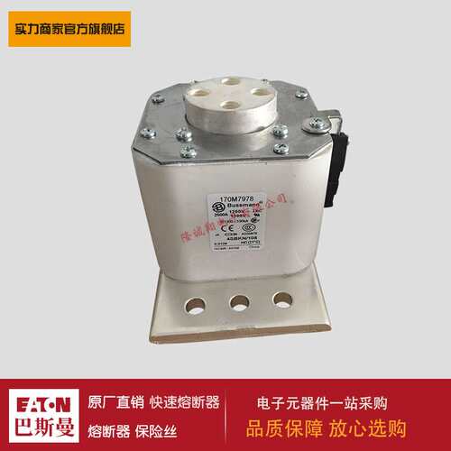 熔断器170M7975 170M7978 170M7982 170M8330 170M8545 170M8547