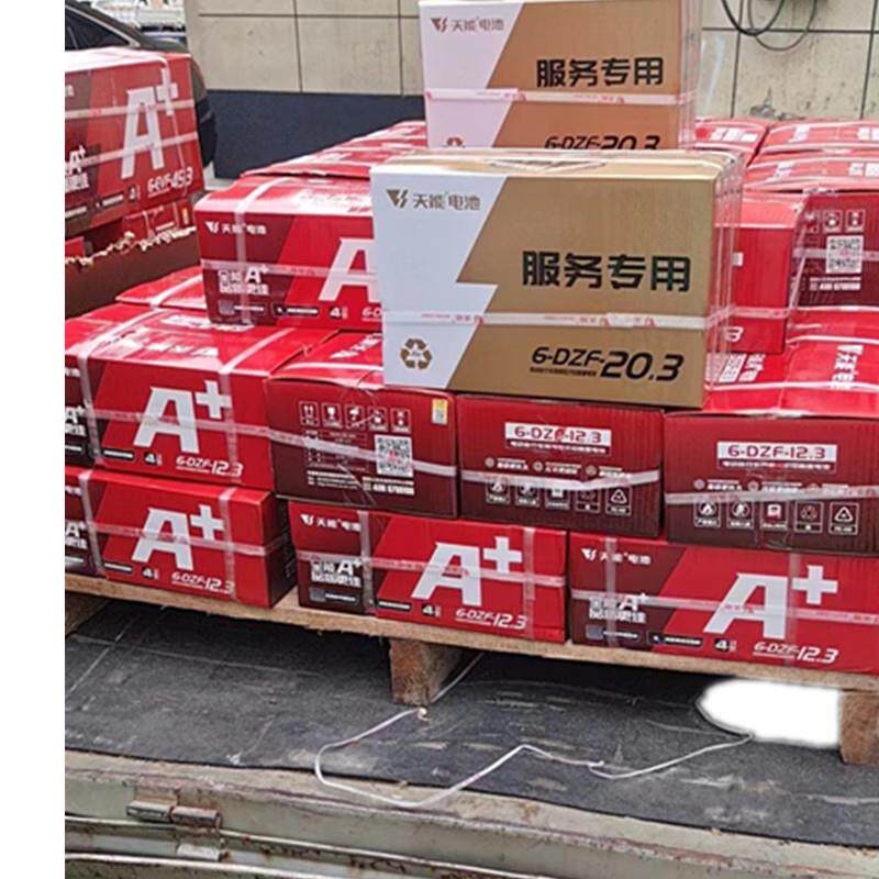 48V12A电动轮椅电池 6-DZF-12.3天能蓄电池 A+新款 两轮电瓶 青岛