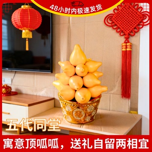 五代同堂盆栽黄金果年宵花新年客厅盆景送礼长寿五指茄果好寓意