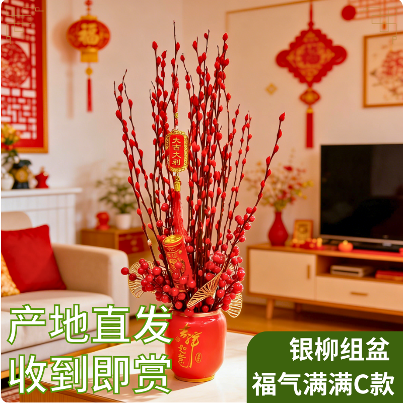 银柳真花鲜枝饱满福桶喜庆年宵花卉盆栽室内红色干花非常容易室内,鲜花速递/花卉仿真/绿植园艺,时令草本花卉,淘宝优惠券,粉丝福利购,淘宝优惠卷