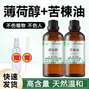 纯苦楝油薄荷醇精油红蜘蛛天然薄荷醇喷雾印度苦楝油苦楝籽油包邮