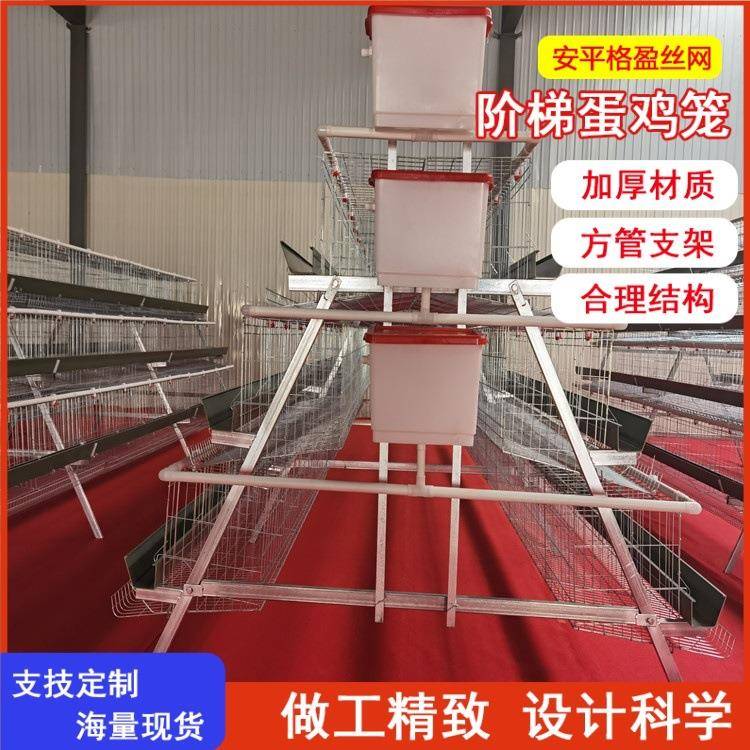 三层四门阶梯蛋鸡笼冷热镀锌结实耐用厂家