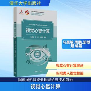 马惠敏周鹏邹博超 视觉心智计算 编著 编 社 清华大学出版 新华正版