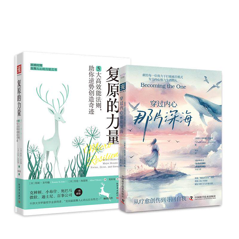 【新华正版】 心理复原力复原的力量+穿过内心那片深海（套装2册） 中国科学技术出版社 美邦妮圣约翰美艾伦海恩斯加拿大谢莉娜艾