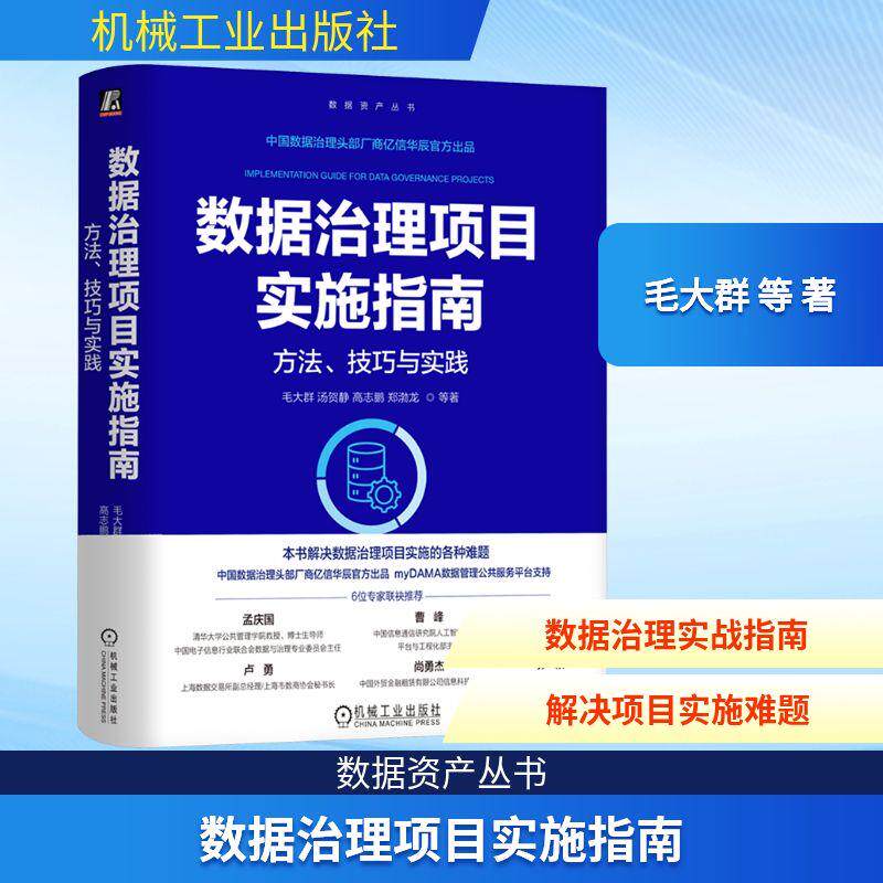 【新华正版】 数据治理项目实施指南方法技巧与实践 毛大群 等 著 著 机械工业出版社