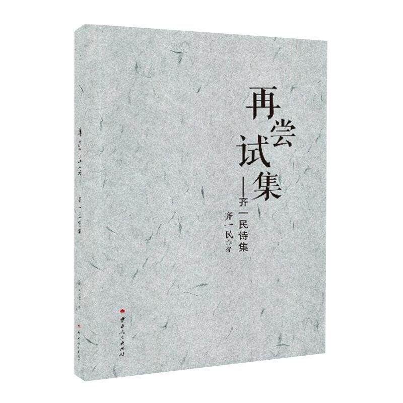 【新华正版】 再尝试集——齐一民诗集 齐一民 云南人民出版社