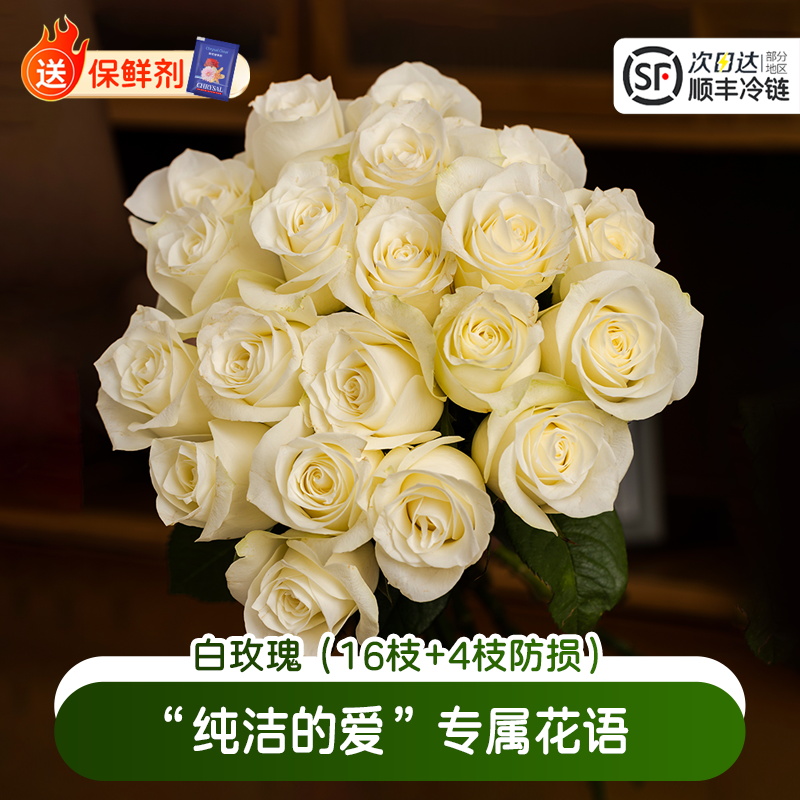 淘花郎特价白玫瑰鲜花骄傲玫瑰