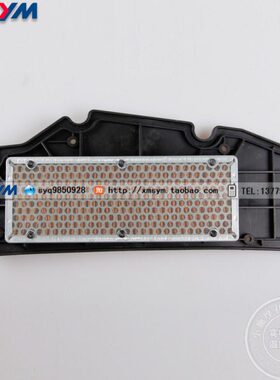 SYM 三阳机车 九妹 Z300 巡弋300 RV250 空气滤清器滤芯 空滤芯