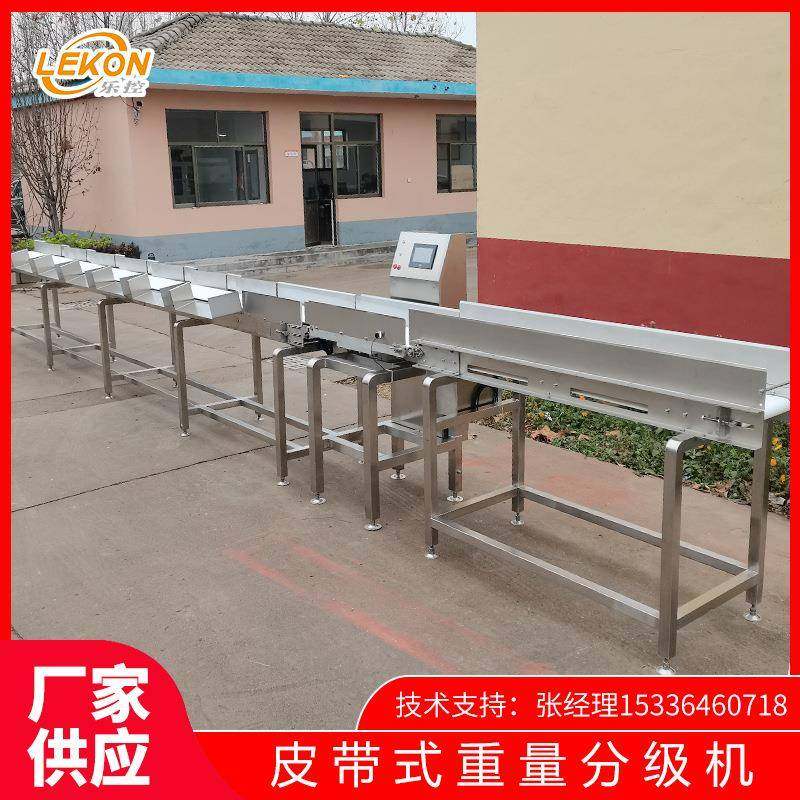 智能皮带式重量分选机黄花鱼自动称重分拣机鸡鸭肉类重量分级机,工业油品/胶粘/化学/实验室用品,其他实验室设备,淘宝优惠券,粉丝福利购,淘宝优惠卷
