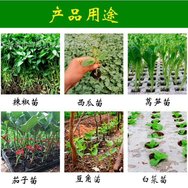 不锈钢瓜果青蔬菜辣椒秧苗栽苗移苗机 双把手手动蔬菜苗栽苗机