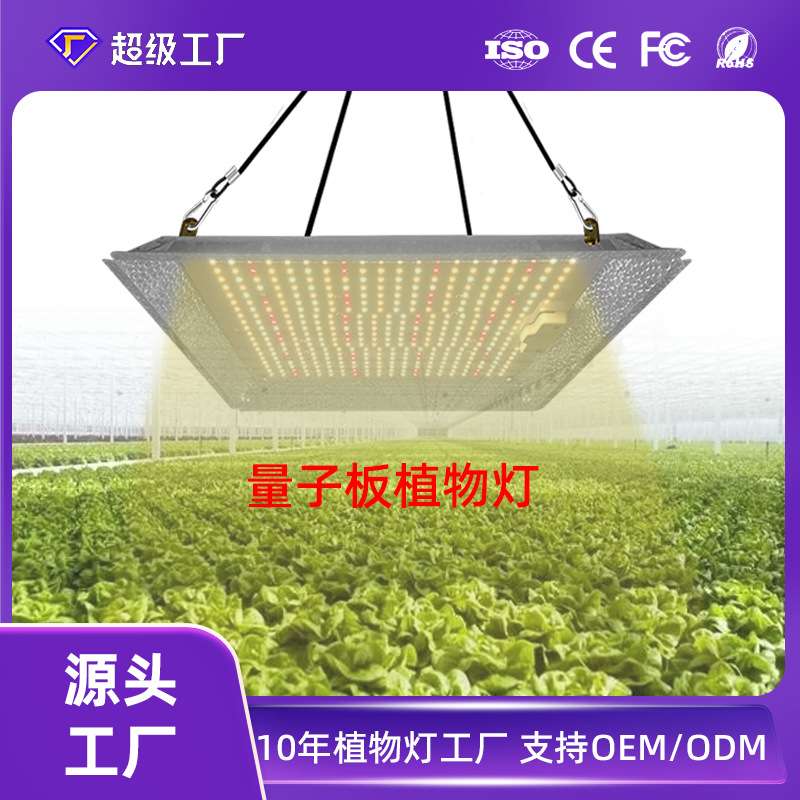 大棚生长灯100W量子板植物灯草莓番茄西红柿LED全光谱多肉补光灯