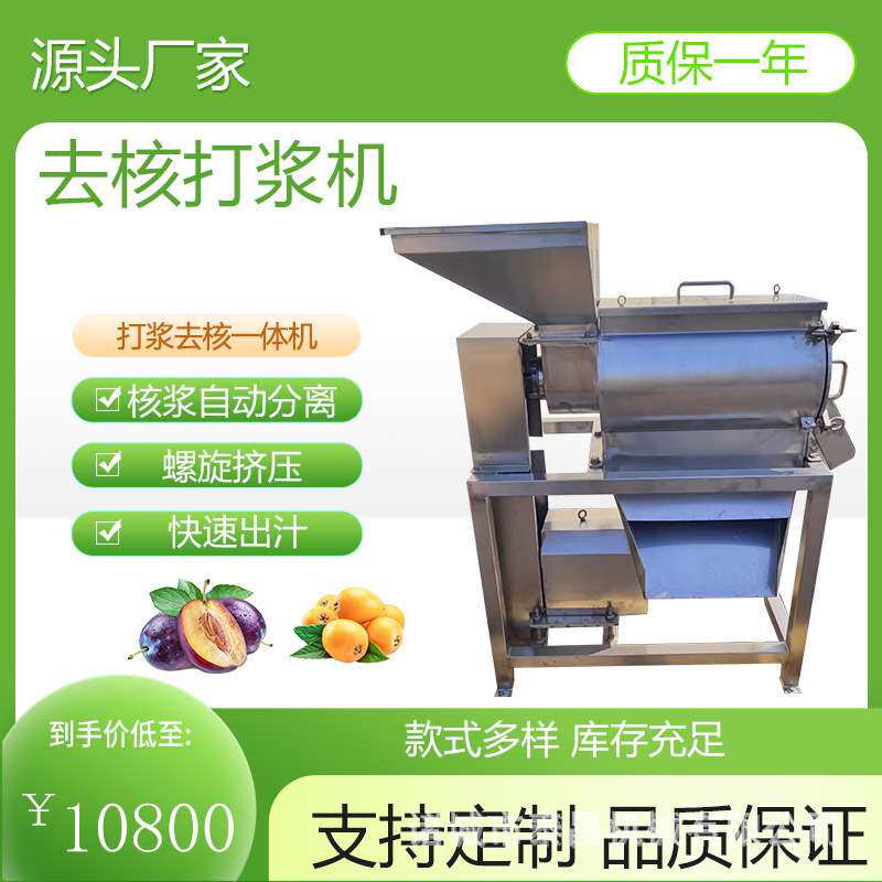枇杷芒果去核打浆机桑葚杨梅樱桃红枣番茄单道打浆机樱桃去核打浆