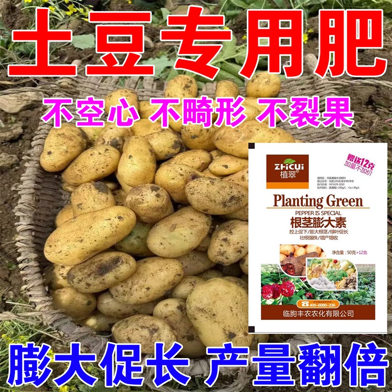 土豆膨大素专用药马铃薯地下根茎膨大抗病增产防裂防畸形叶面肥料