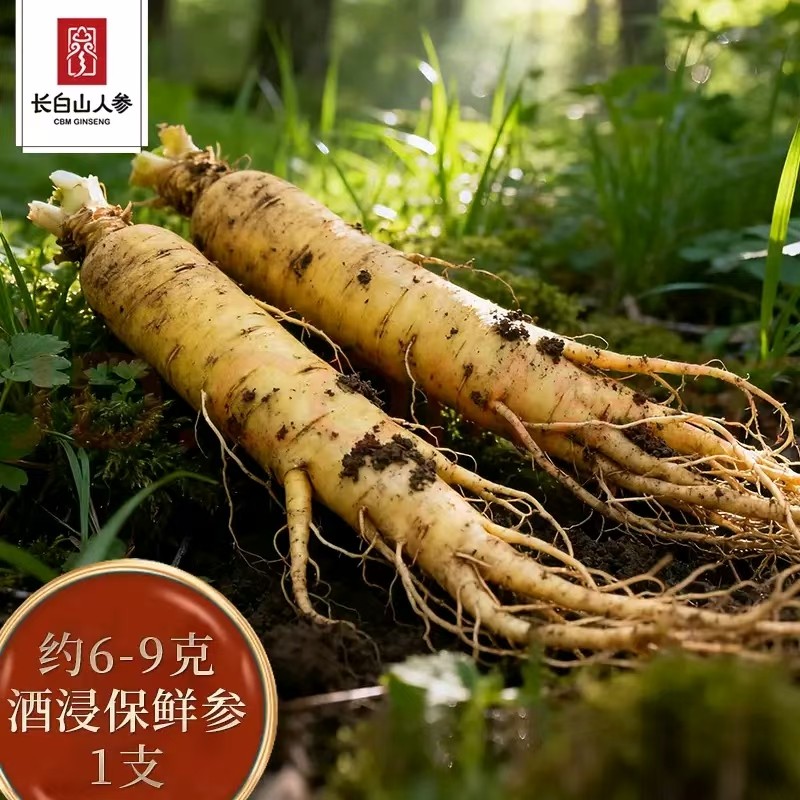 长白山人参鲜人参6-8克保鲜参酒浸鲜参补品煲汤泡酒材料单支袋装