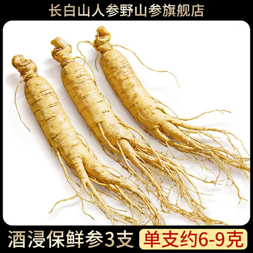 长白山人参鲜人参6-9克3支装保鲜参酒浸鲜参补品煲汤泡酒材料