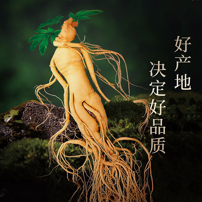 长白山人参鲜人参6-8克保鲜参酒浸鲜参补品煲汤泡酒材料袋装10支