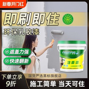 内墙乳胶漆家用室内无味自刷油漆白色H墙漆涂料墙面翻新无甲醛净