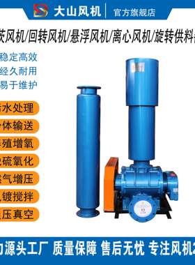 维修罗茨风机JYSRSSR-N RF RR  RZ  RG ZR 3H ZG ZW SSR-K L（ZL