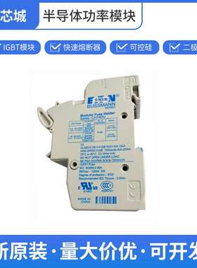 新能源熔断器 CH141DU 保险丝 巴斯曼批次22+