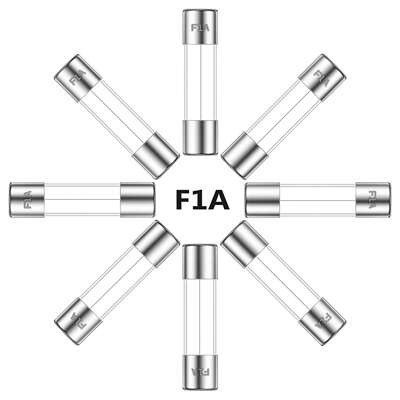 ALLECIN 1A 250V 6x30MM 快速吹制玻璃保险丝 1 安培 250 伏 0.24