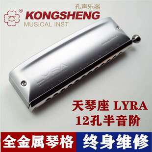孔声天琴座半音阶口琴12孔48音金属琴格新手成人初学专业演奏乐器