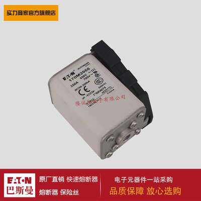 熔断器170M3956 170M3957 170M3958 170M3959 170M3960 170M3961