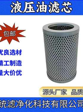 出口油泵过滤器管路滤芯F-VN-28A-100W不锈钢滤网统滤净化