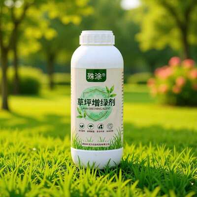 草坪增绿剂植物染色剂草皮增色剂绿化草地喷绿剂一喷即绿枯草变绿