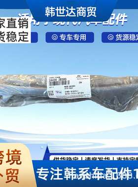 243002E010发动机正时套装6件套244102E000韩系品质