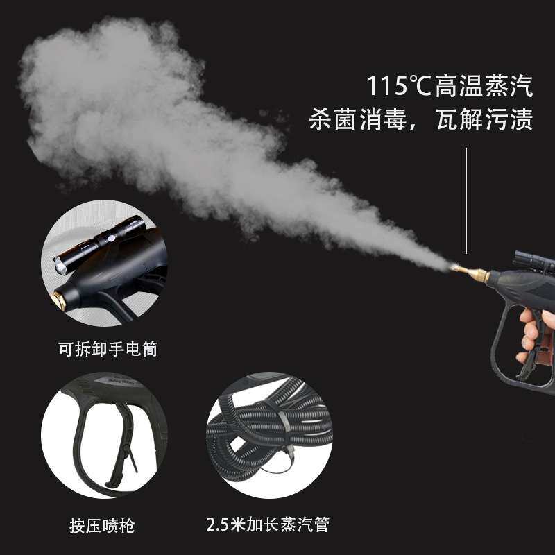 圣泰蒸汽清洁机家用高温厨房油污清洗蒸发箱外贸家政