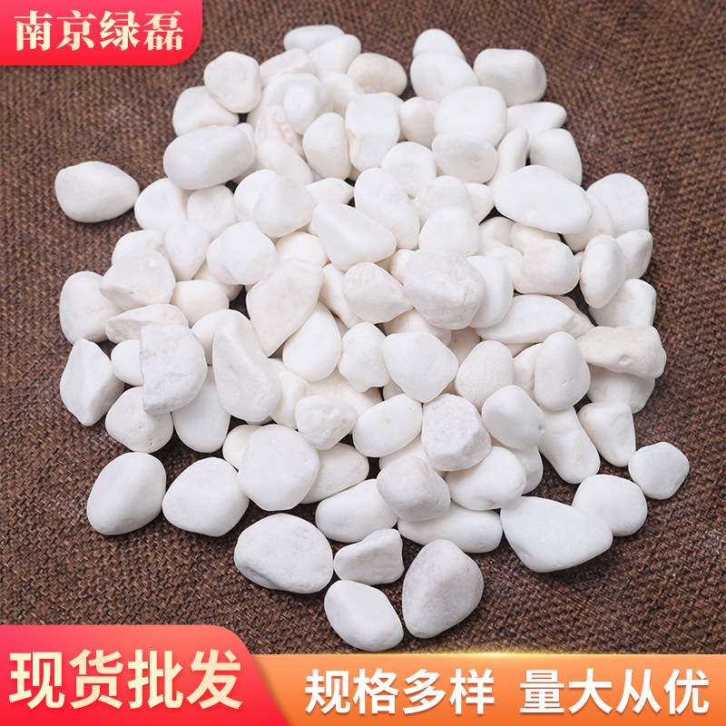 厂家雪花白汉白玉白色鹅卵石白色石子白色雨花石白云石