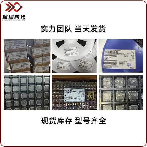 PIC32MZ2048ECH100-I/PT PIC32MZ2048ECH100-E/PT QFP100单片机IC