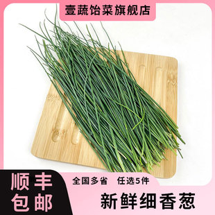 新鲜细香葱 细叶葱 Chives法葱 虾夷葱