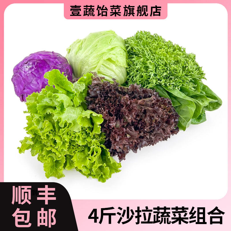 6种沙拉蔬菜4斤 新鲜混合蔬果生菜色拉健身轻食套餐西餐沙拉食材