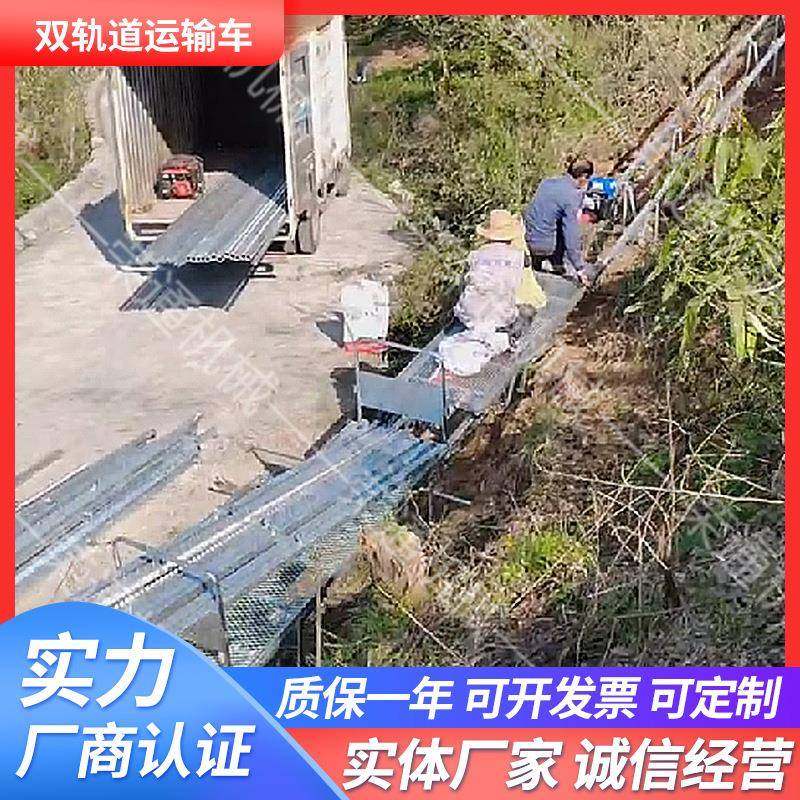 农业双轨运输车小型山地果园电动山地爬坡搬运载货双轨运输车轨道