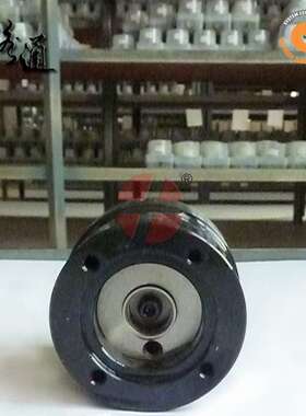 供应LUCAS泵头7189-525L 高压泵配件