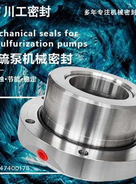 旋转动密封 80ZDT-30\80ZD-25K\50ZD-46 化工泵机械密封冲洗