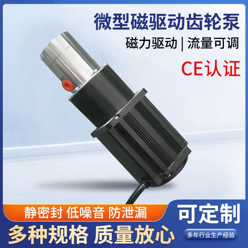 供应小型磁力齿轮泵微型齿轮泵12v24v不锈钢磁驱动齿轮泵316泵体