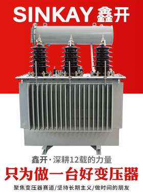 s13-100kw铜125kva国标160千伏安200瓦250电力33kv三相油浸变压器