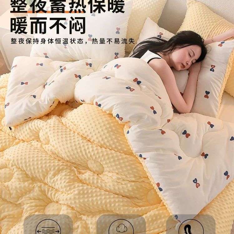 加厚AB版豆豆被秋冬绒被可机洗秋季大豆被双面可用保暖棉被子被芯